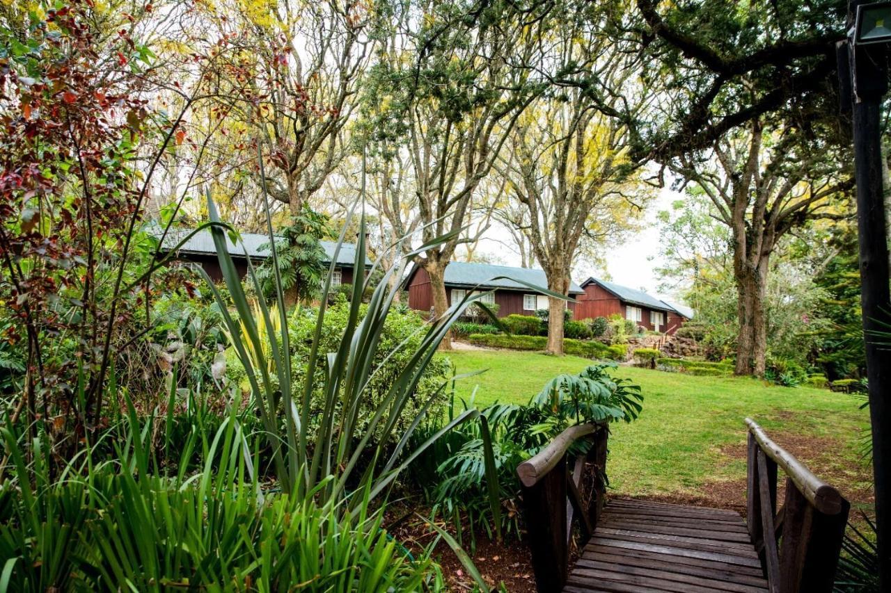 Naro Moru River Lodge Exteriér fotografie