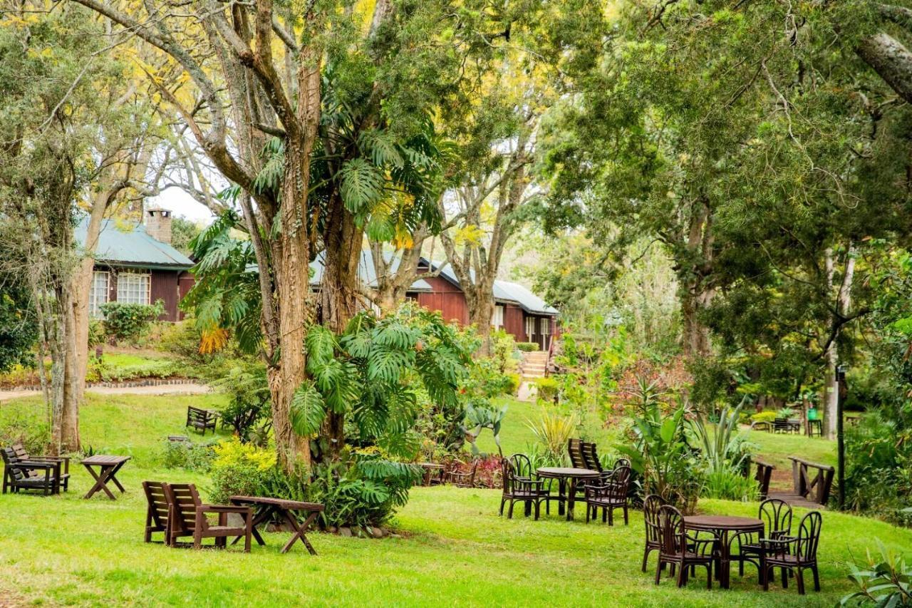 Naro Moru River Lodge Exteriér fotografie
