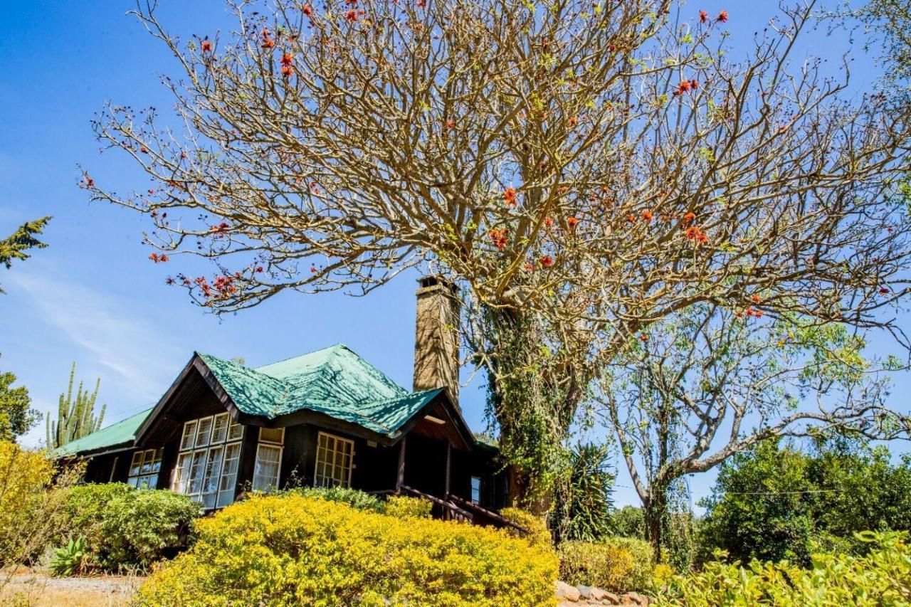Naro Moru River Lodge Exteriér fotografie