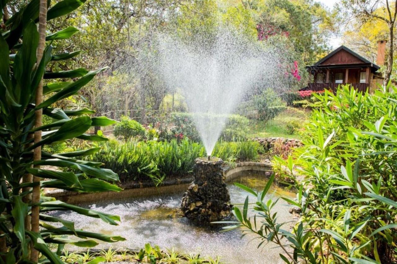 Naro Moru River Lodge Exteriér fotografie