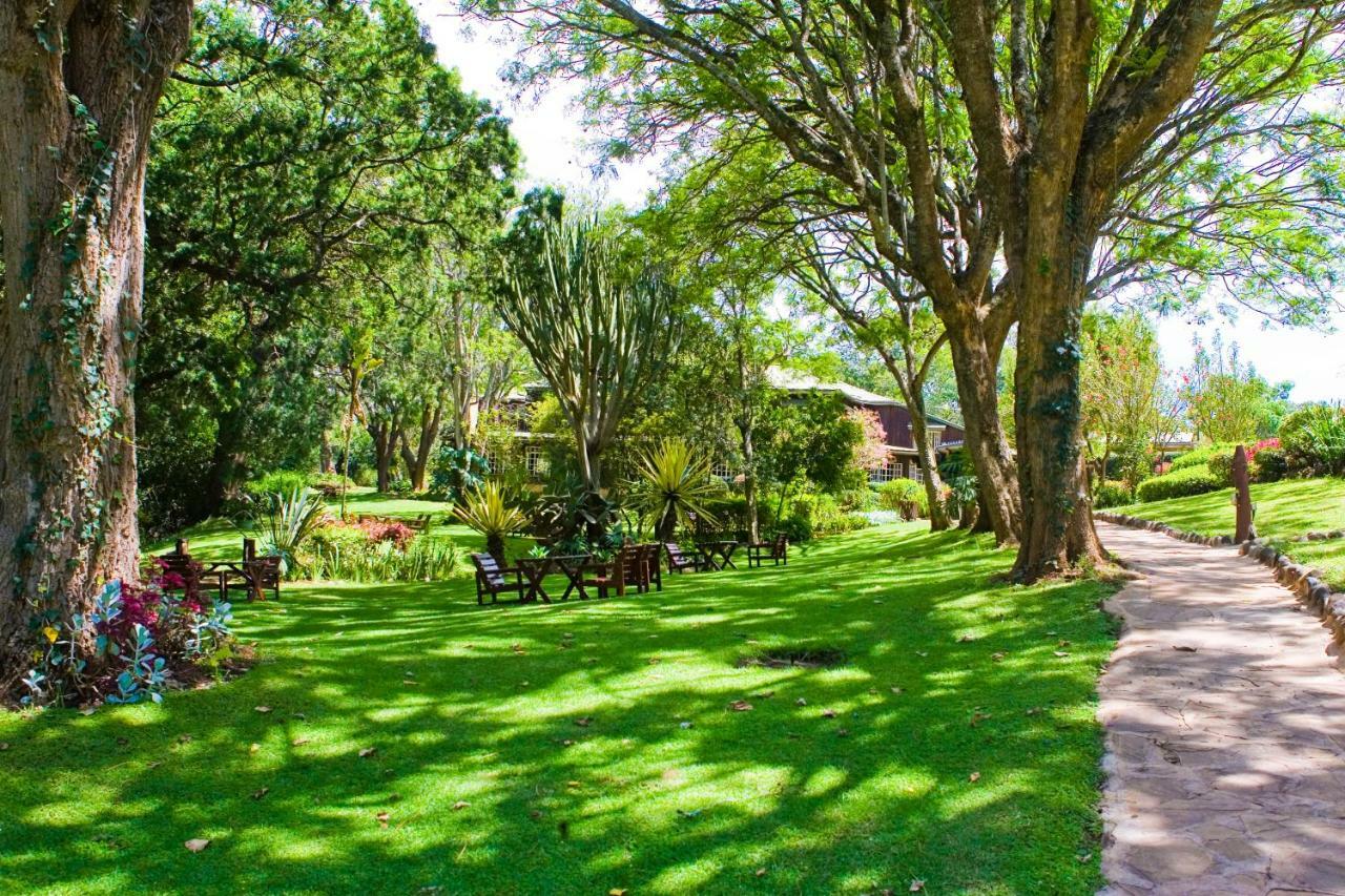 Naro Moru River Lodge Exteriér fotografie